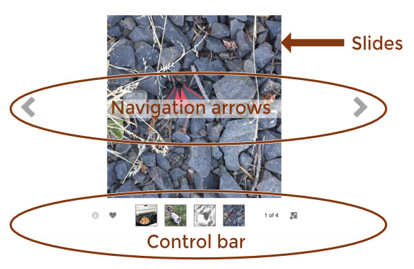 Screenshot pointing out the slides, navigation arrows, and control bar